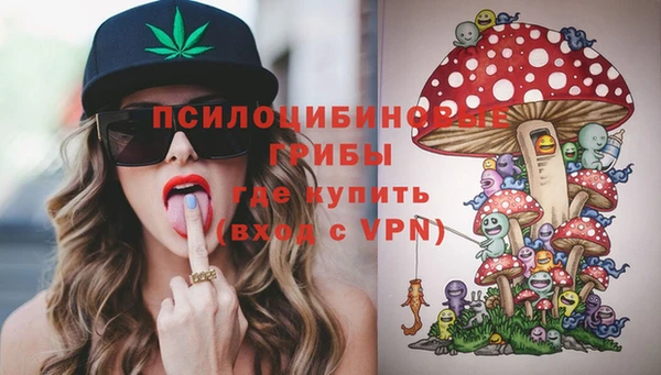 ешки Бородино