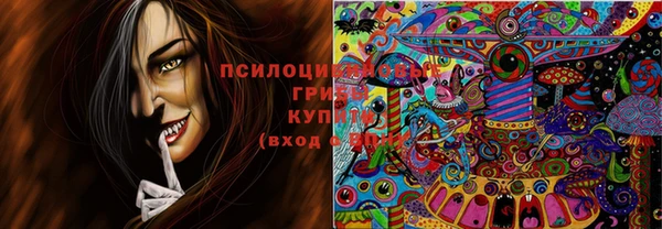 герыч Бугульма
