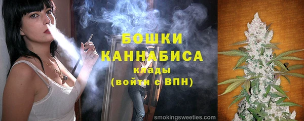 ешки Бородино