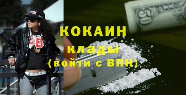 ешки Бородино